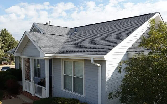Shingle Roofing X